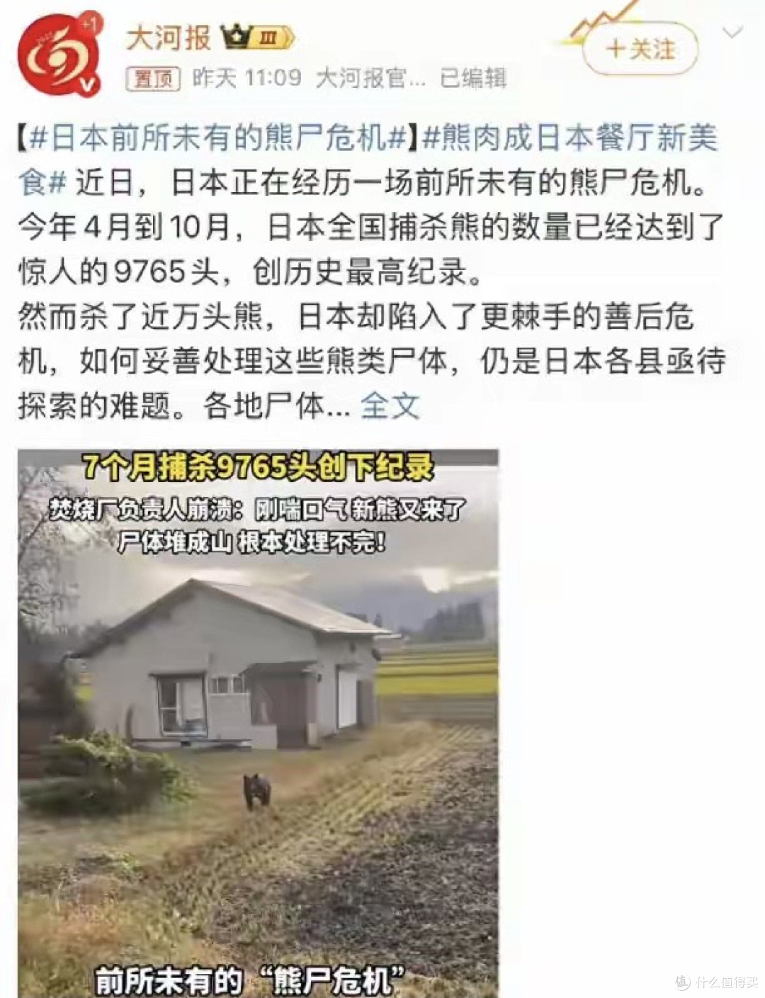 毫无人性!日本7个月杀熊9765头,餐厅70美元熊肉套餐异常火爆