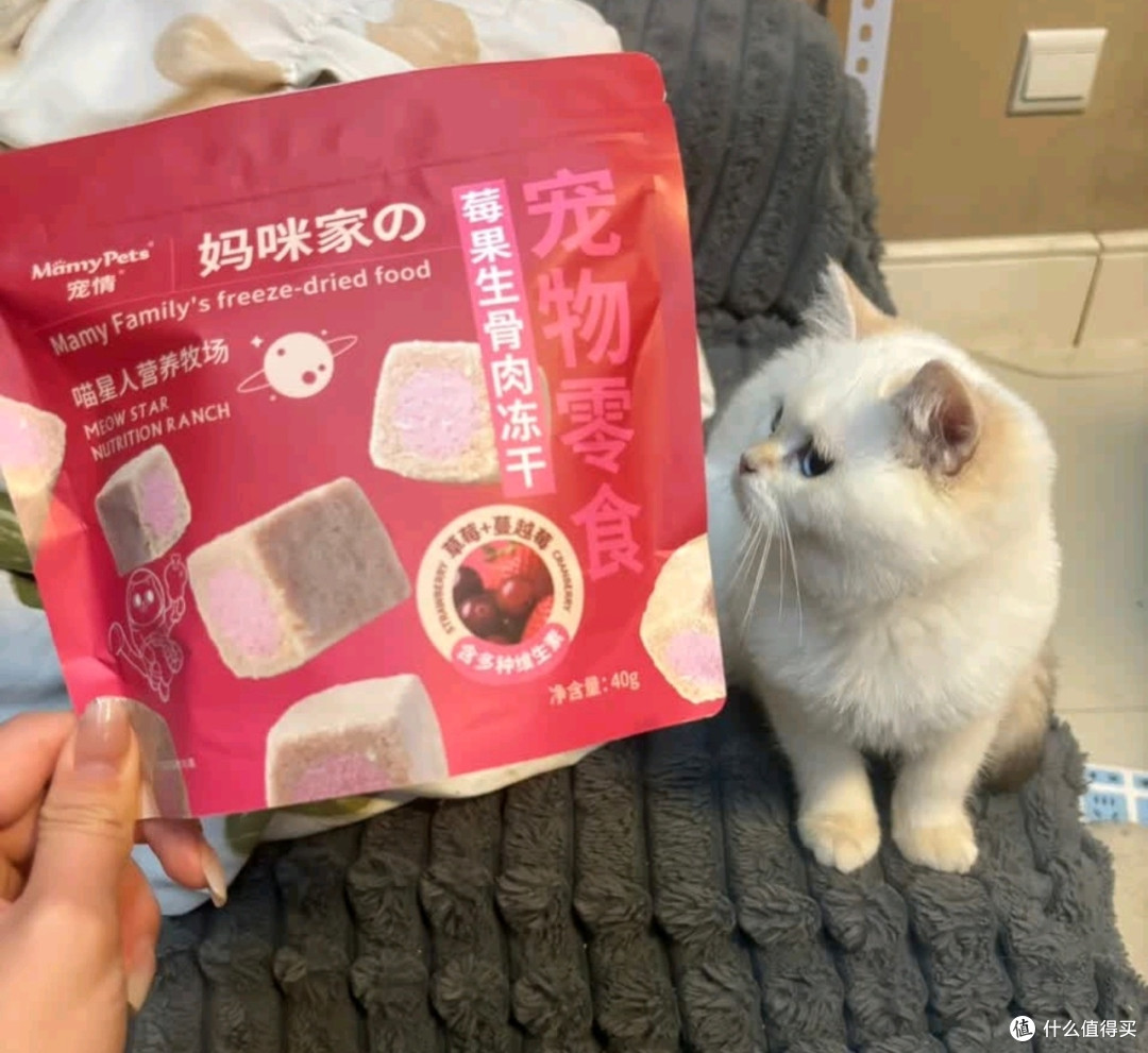 双旦冻干零食,宠物健康守护
