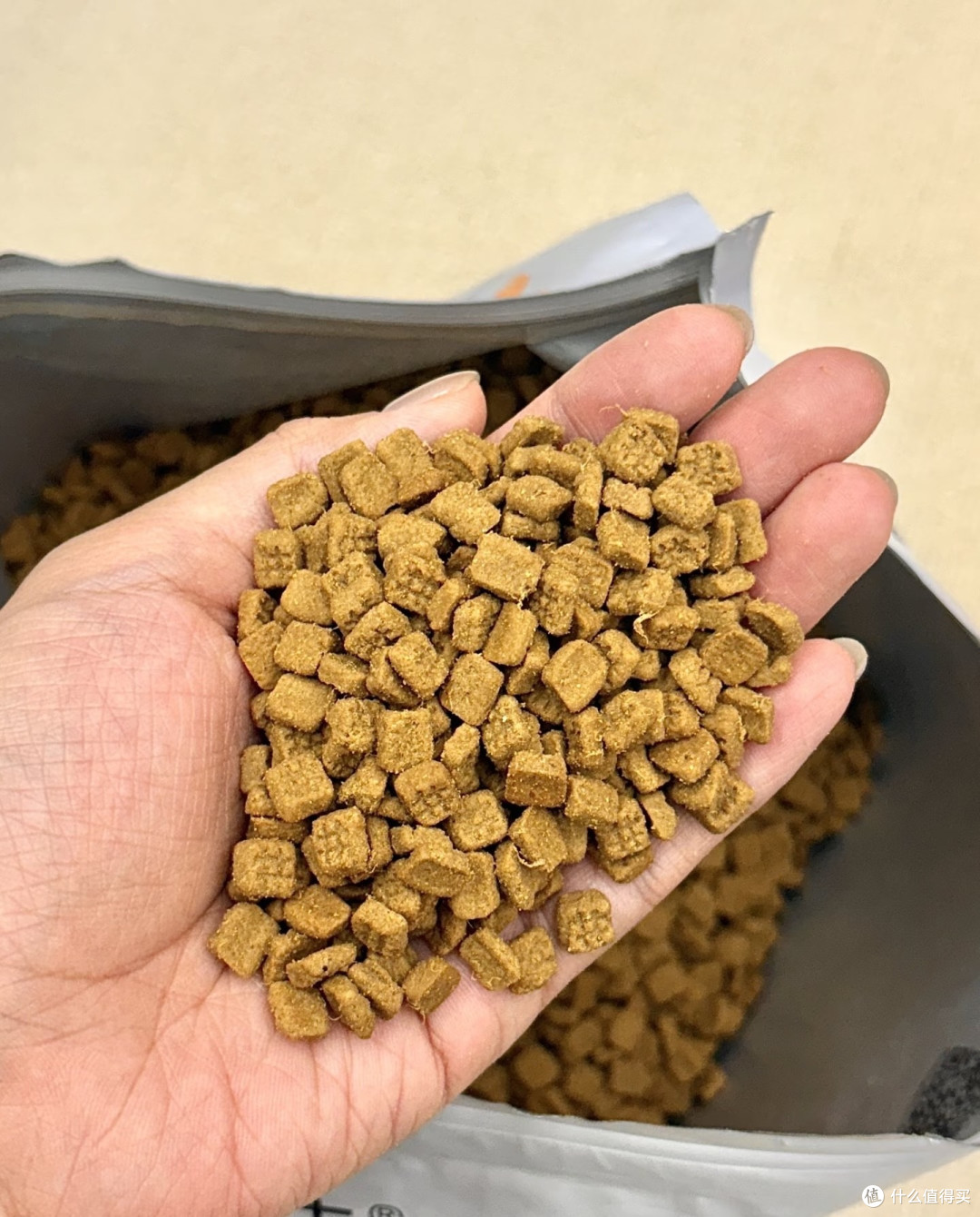 宠物好物推荐|领先猫粮:同价位中的佼佼者