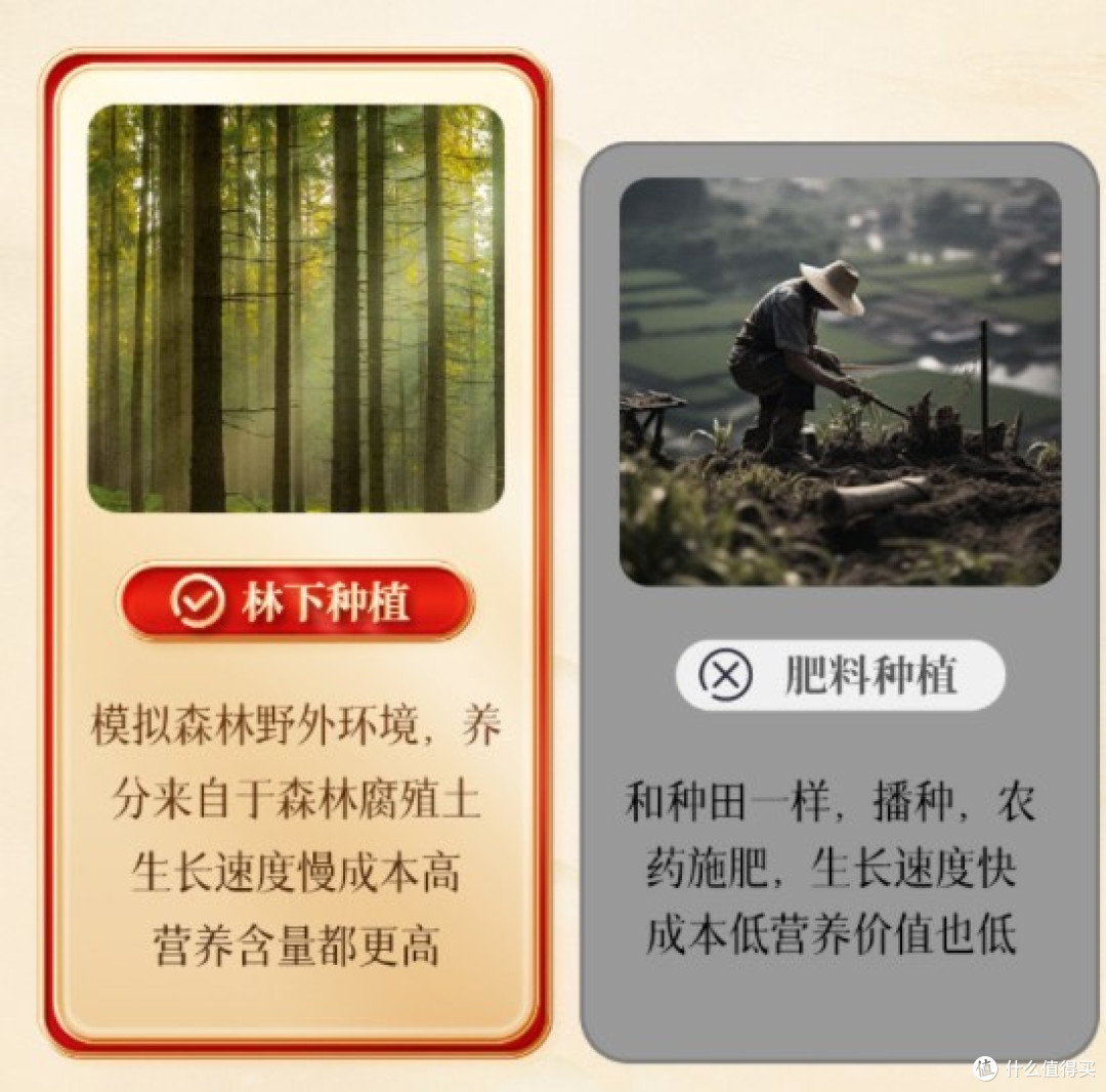 红参哪个牌子好?全国十大人气品牌对比,高效补气血这样选