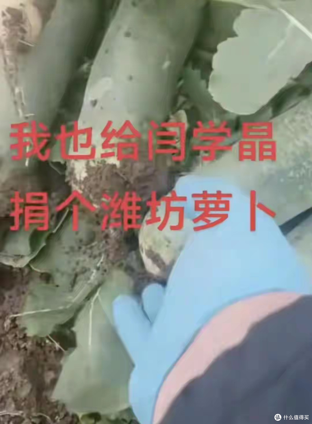 闫学晶哭穷后续:网友开启众筹模式,有捐菜,有捐肉,还有捐钢镚