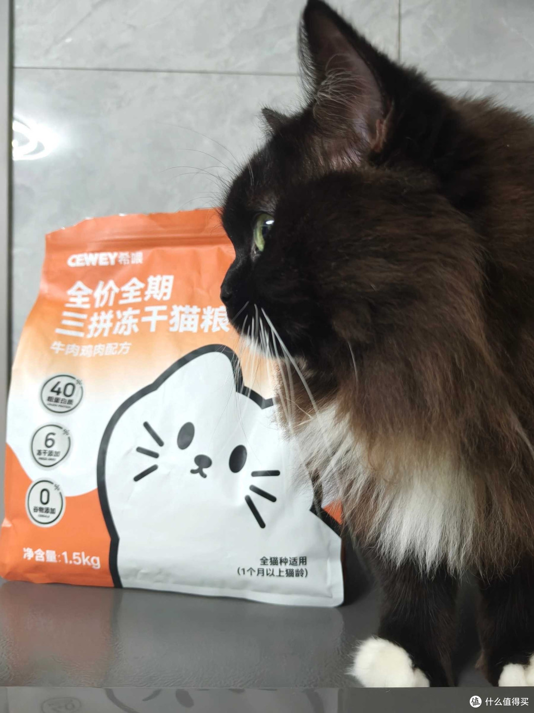 猫粮哪个品牌好！