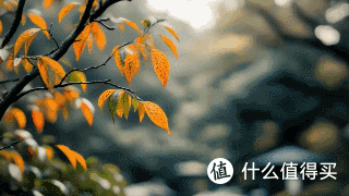 混剪视频怎么做到高质量原创