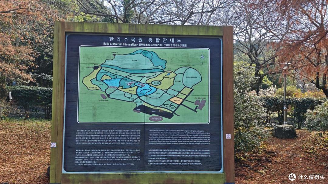 6天5晚三位数!「海上农家乐」真实体验——梦想号邮轮韩国游DAY4