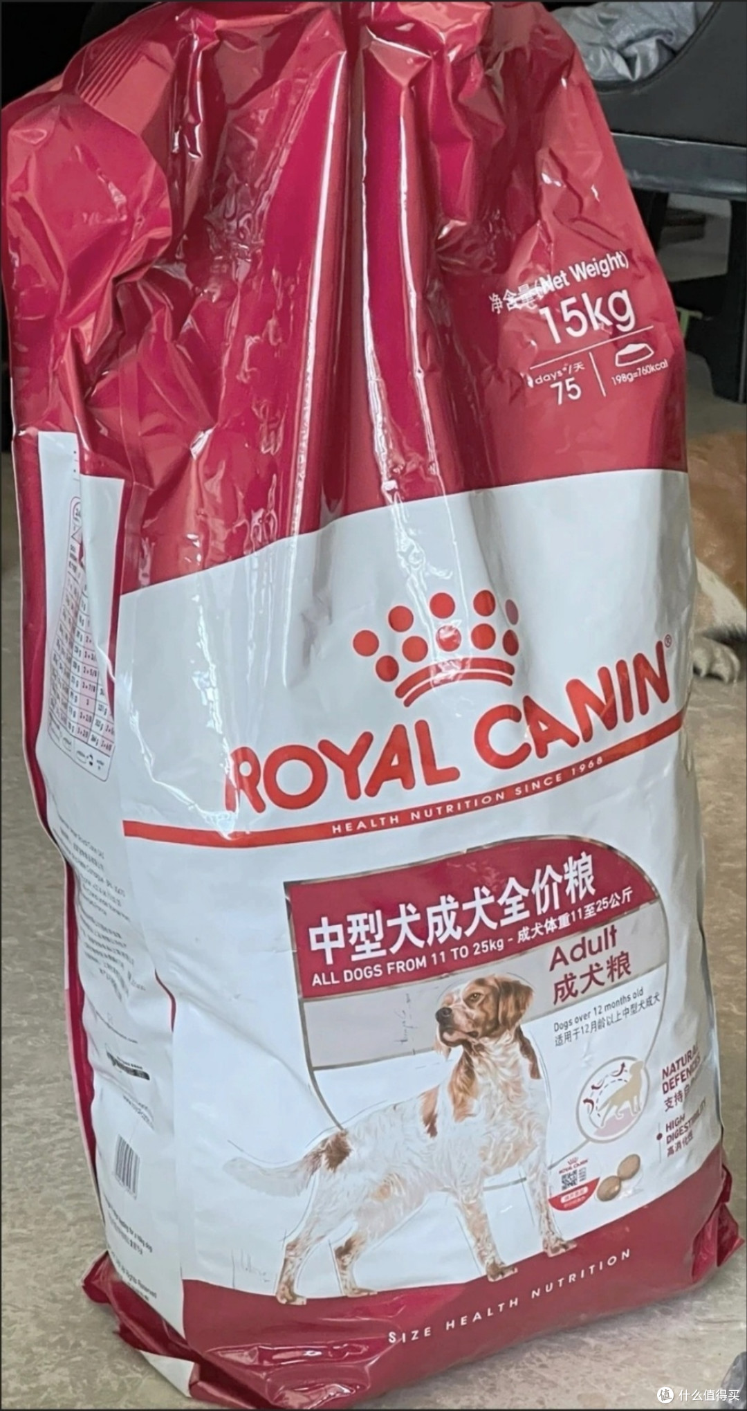 皇家狗粮,老年犬粮选择与关节健康