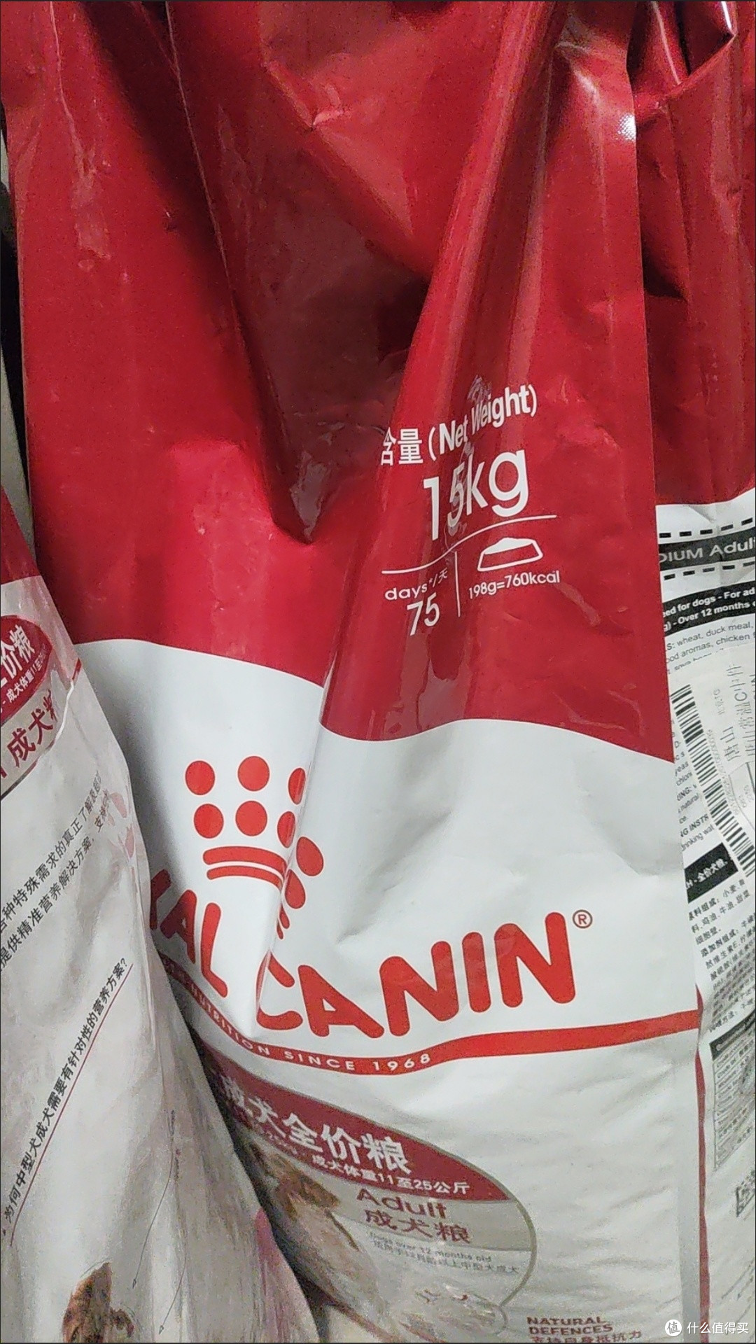 皇家狗粮,老年犬粮选择与关节健康