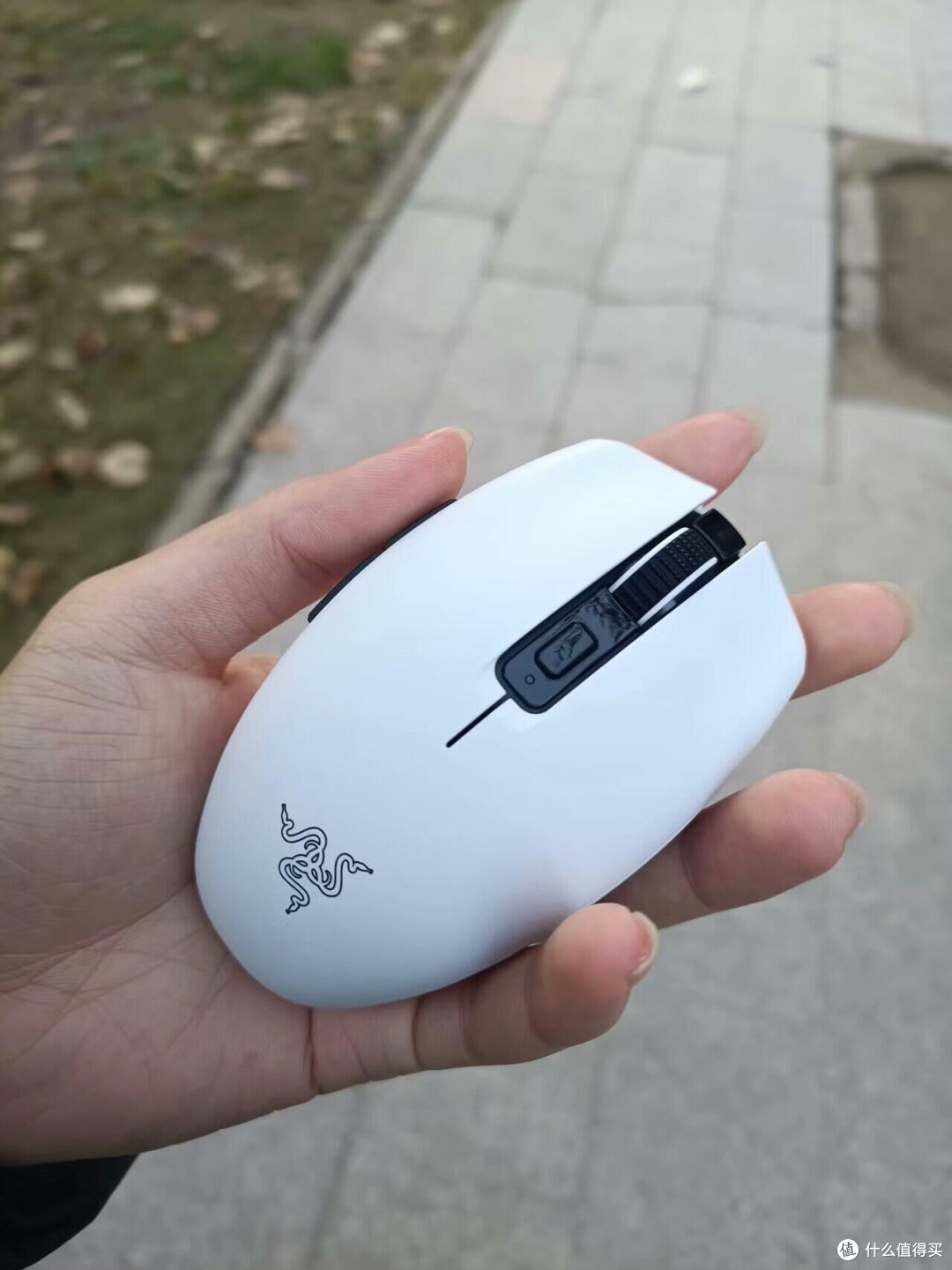 雷蛇八岐大蛇V2:中小手用户的完美选择