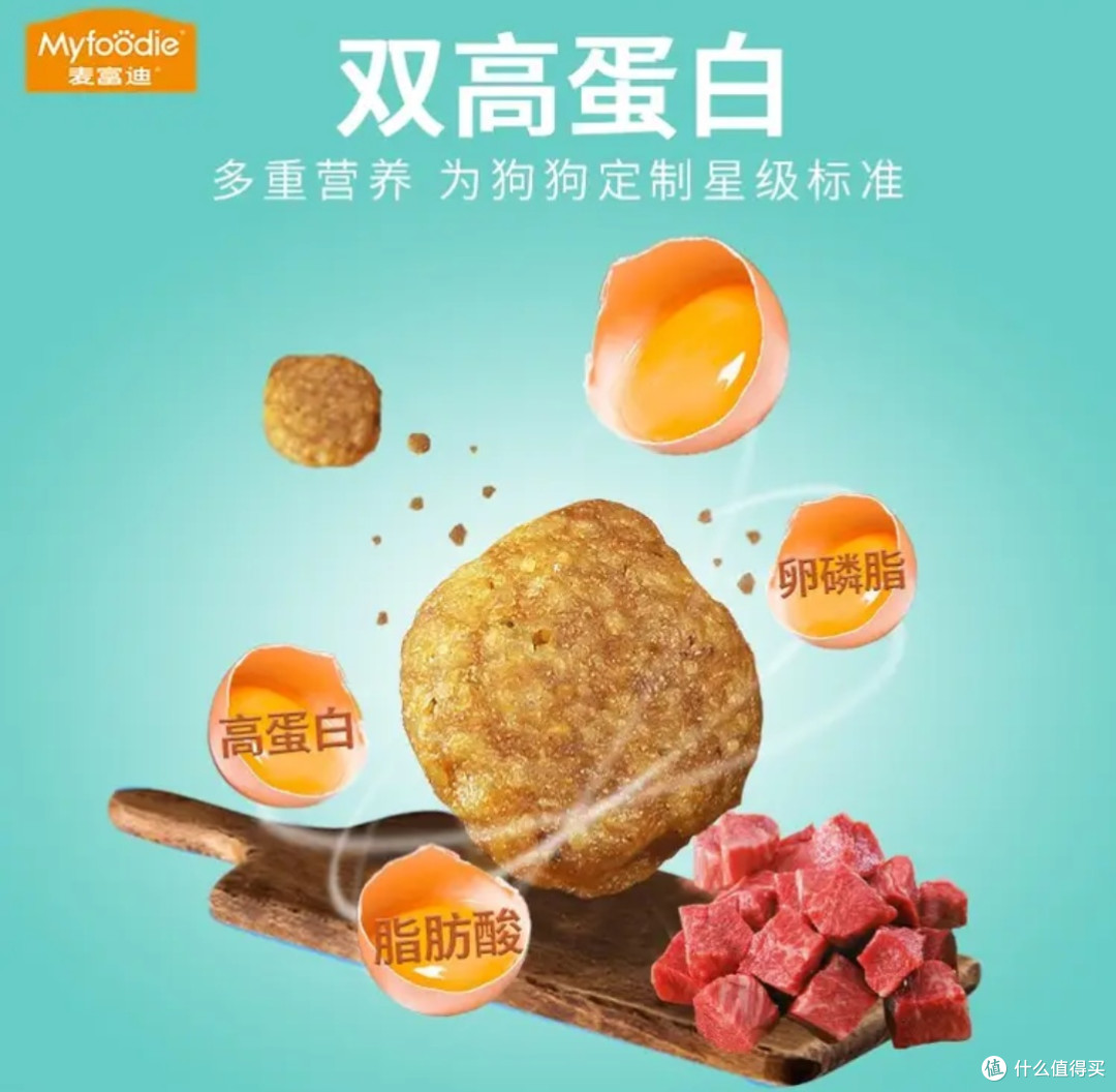 双旦给毛孩子送惊喜!5款提升幸福感的宠物专属礼物