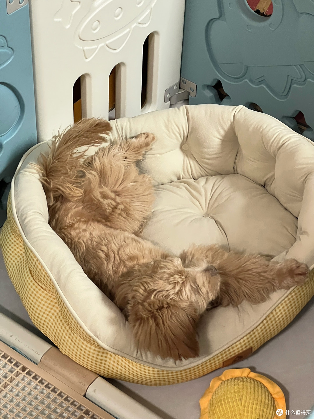 双旦宠物仪式感必备网红花苞宠物窝,猫咪狗狗冬日保暖高颜值睡窝