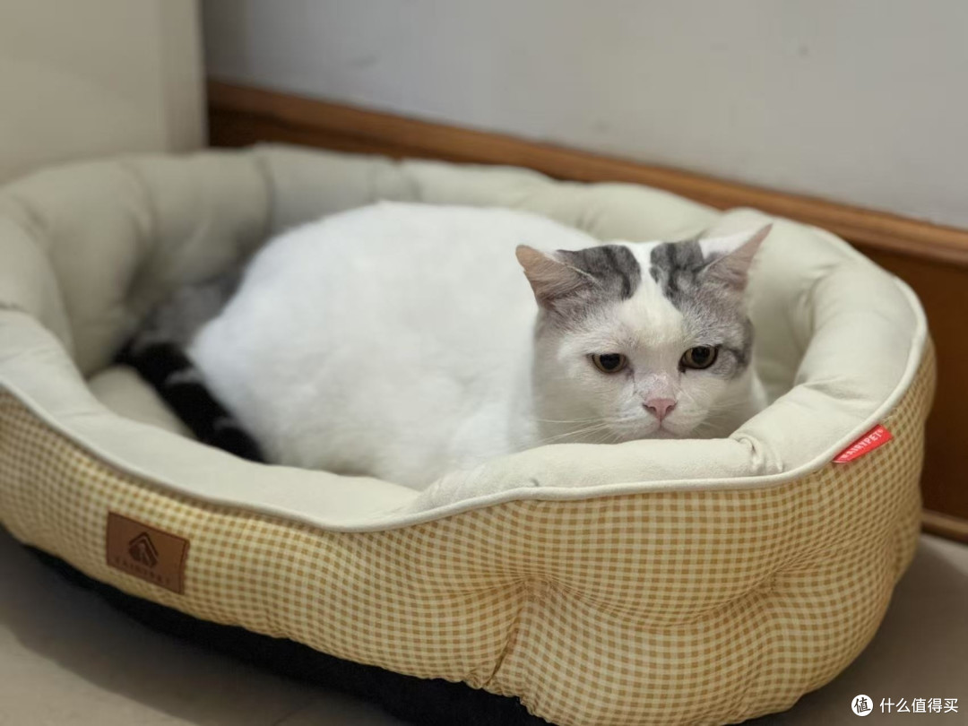双旦宠物仪式感必备网红花苞宠物窝，猫咪狗狗冬日保暖高颜值睡窝