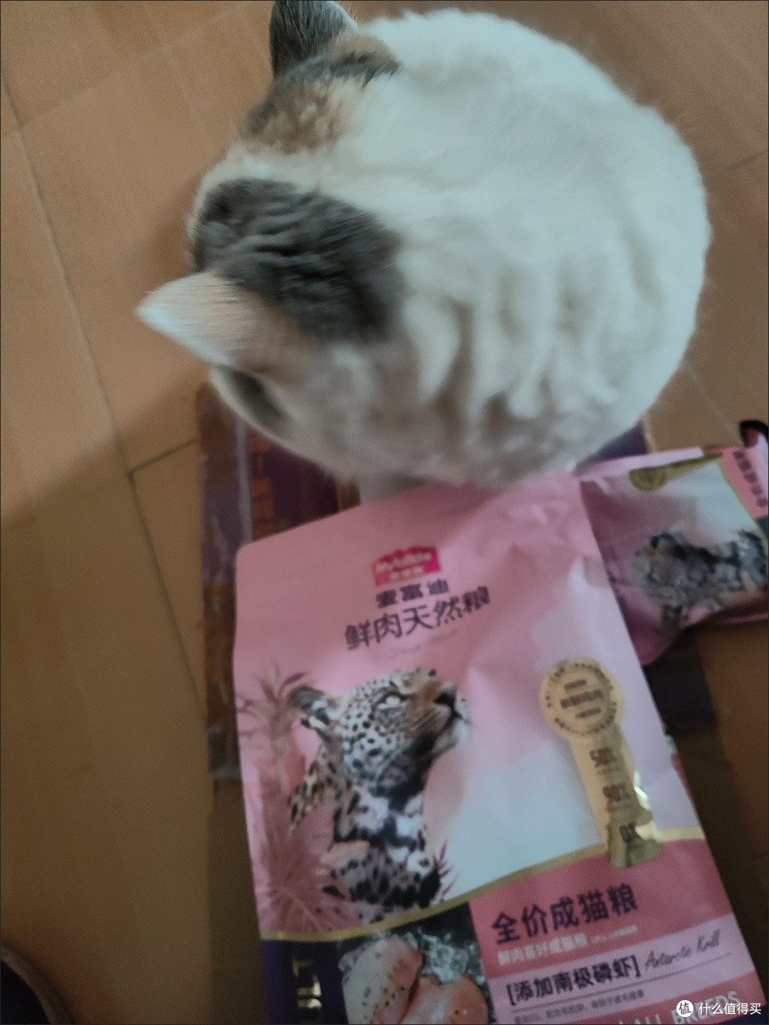 全价营养不踩雷!麦富迪无谷鲜肉猫粮,2kg装囤货超划算