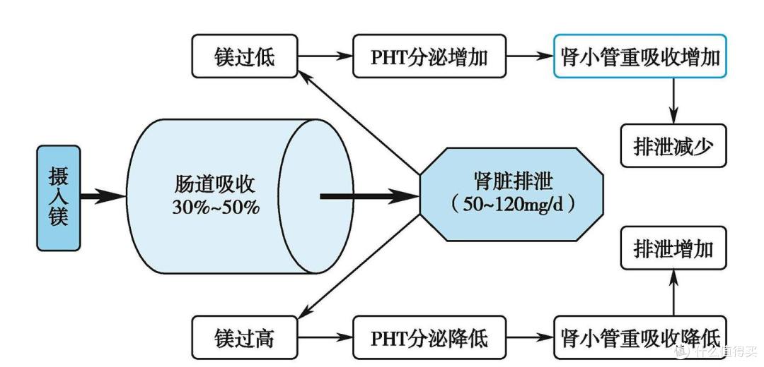 身体缺镁会有哪些表现？
