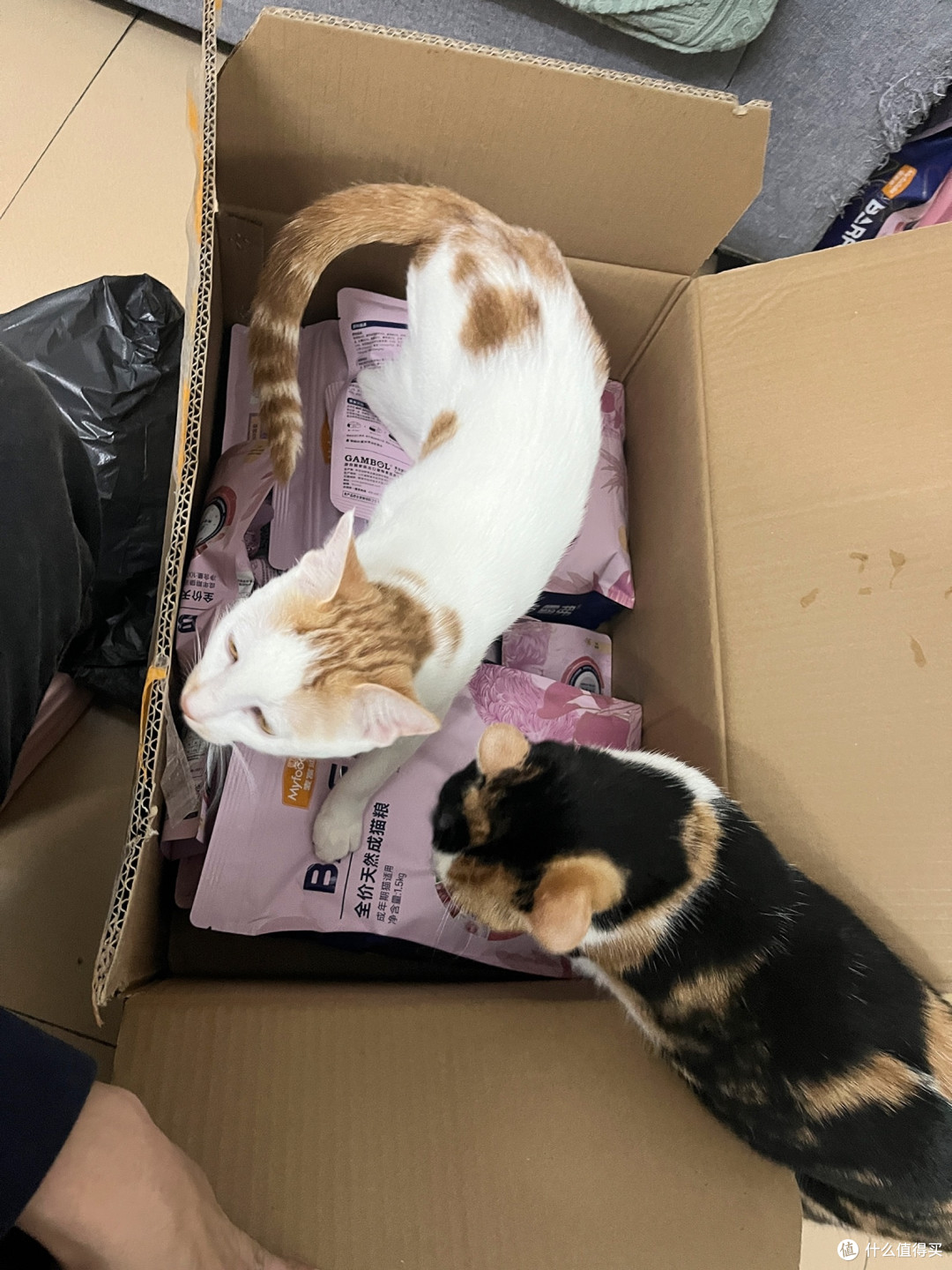 麦富迪BARF霸弗猫粮:主食冻干双拼,无谷鲜肉成猫专属营养