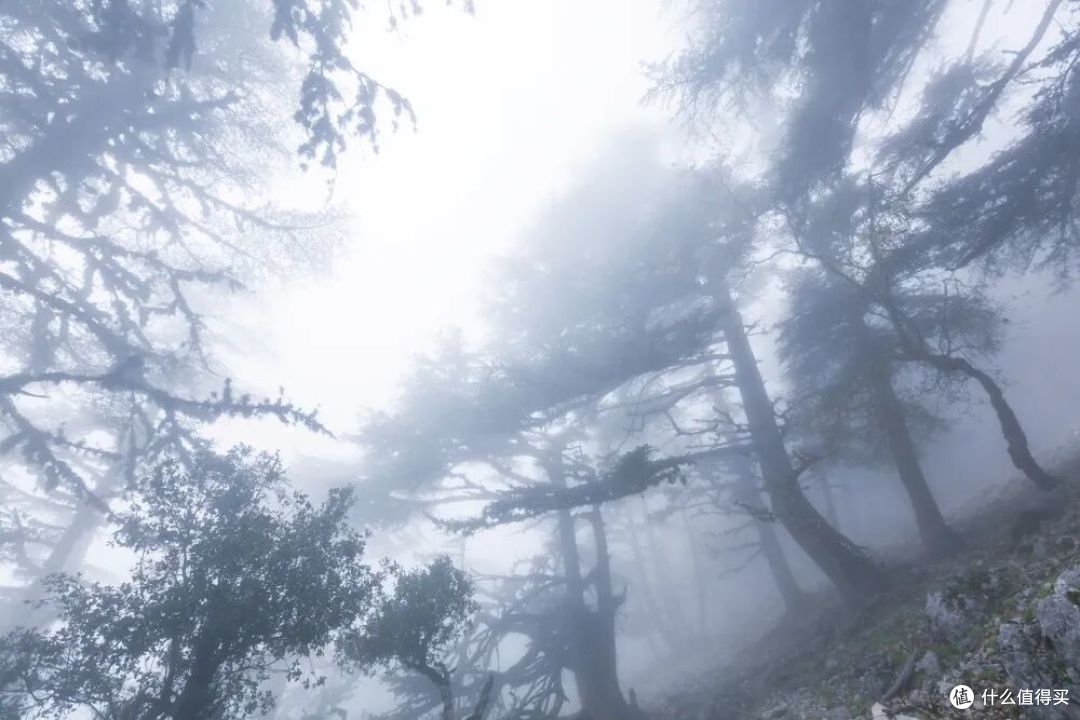哀牢山搞“荒野求生”,就像在化工厂里玩“窜天猴”