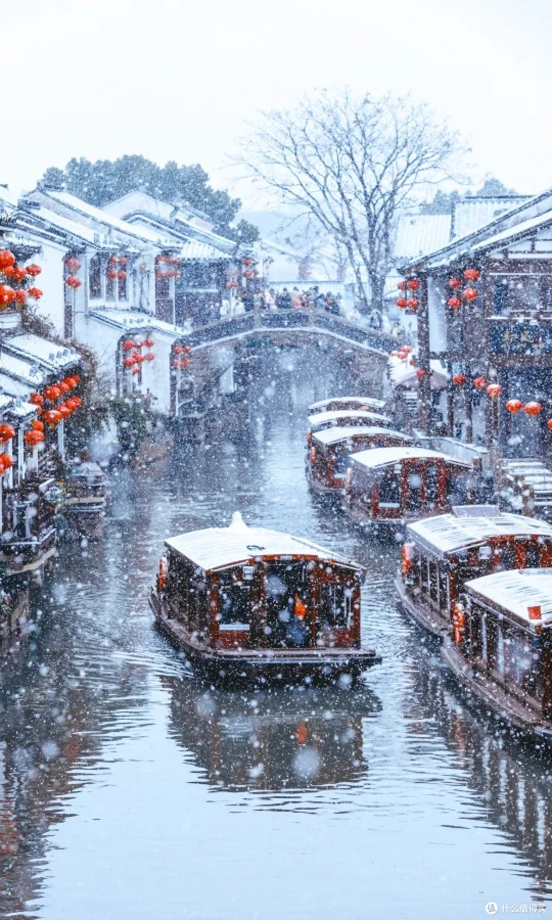 一下雪苏州便美回姑苏城