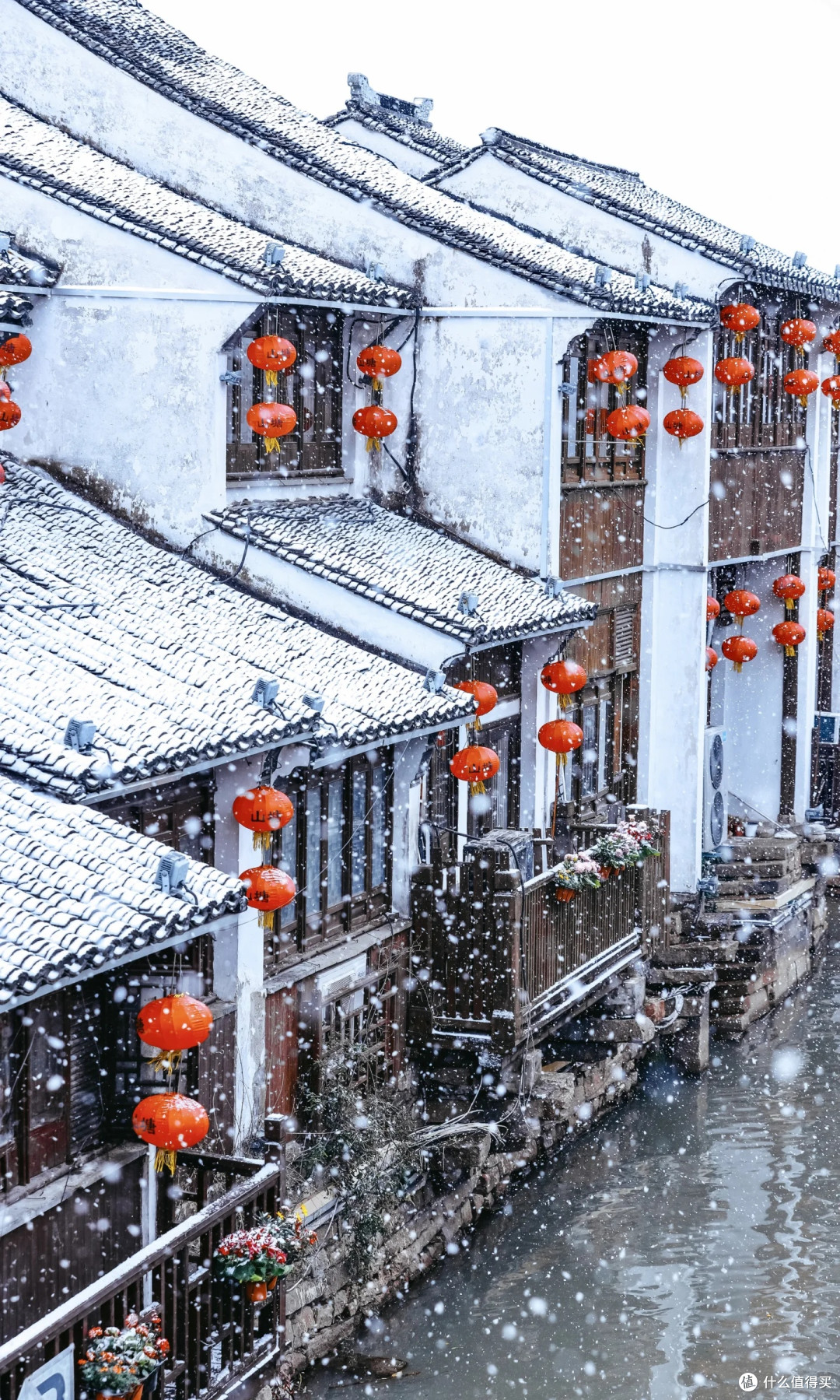 一下雪苏州便美回姑苏城