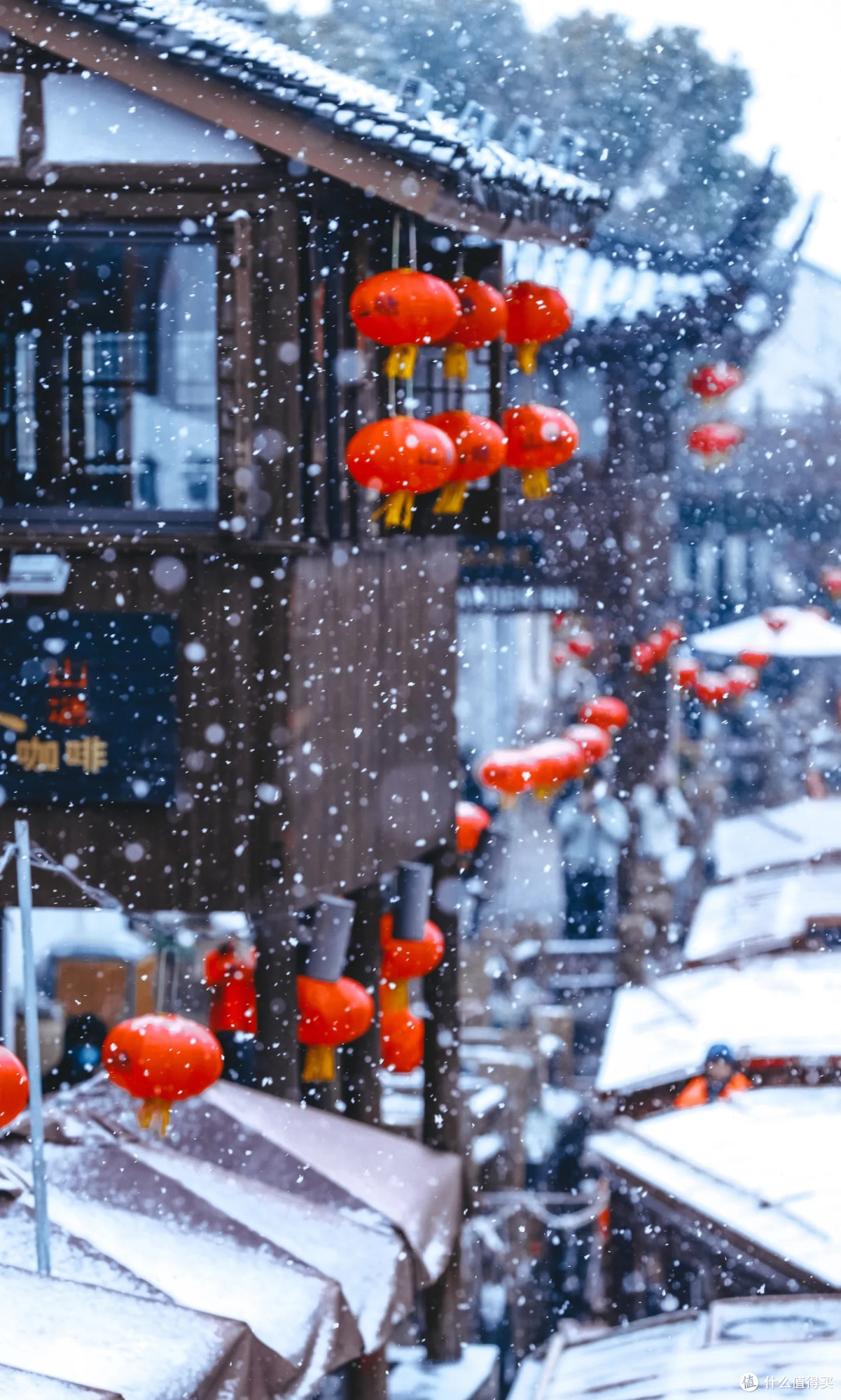 一下雪苏州便美回姑苏城
