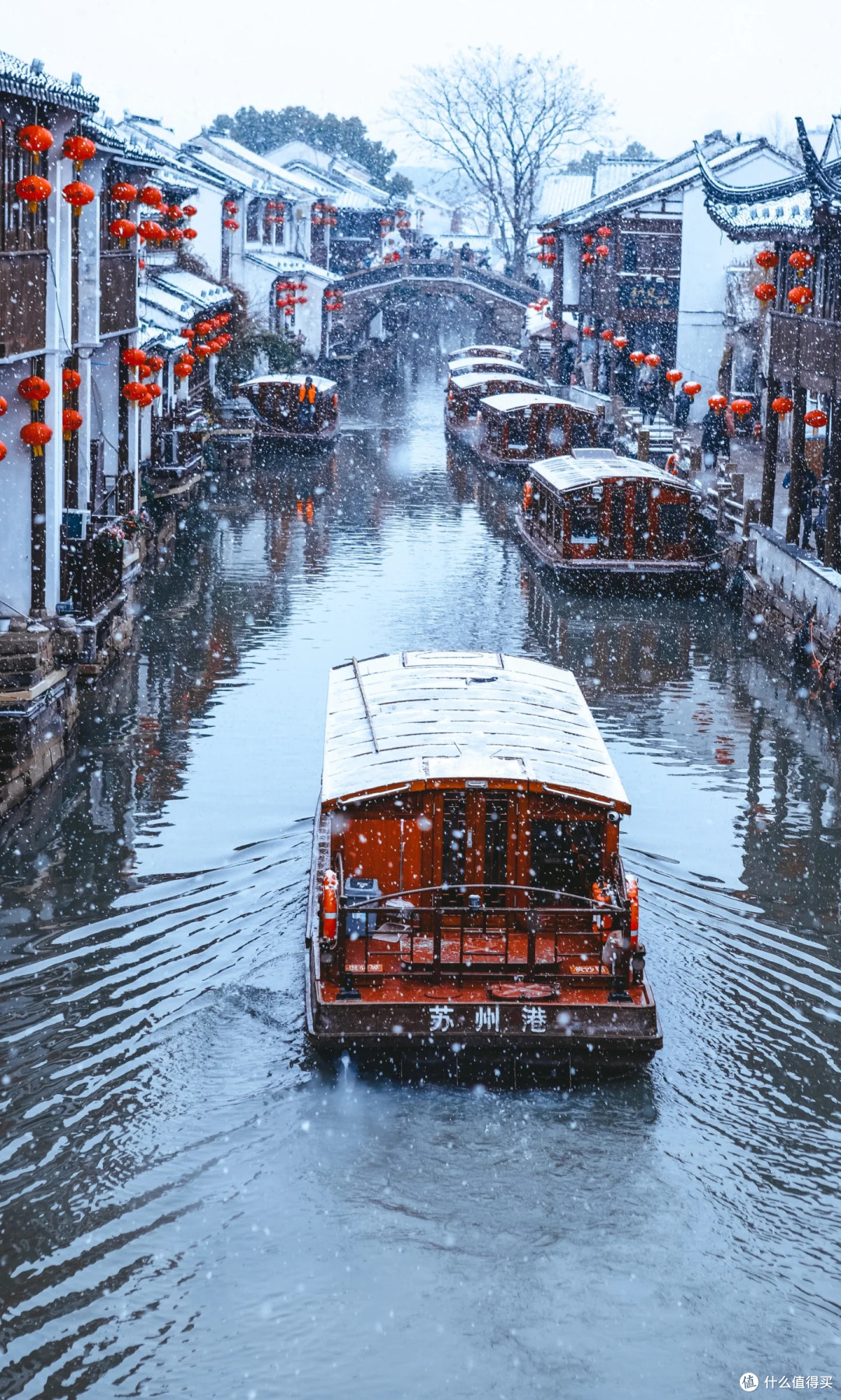 一下雪苏州便美回姑苏城