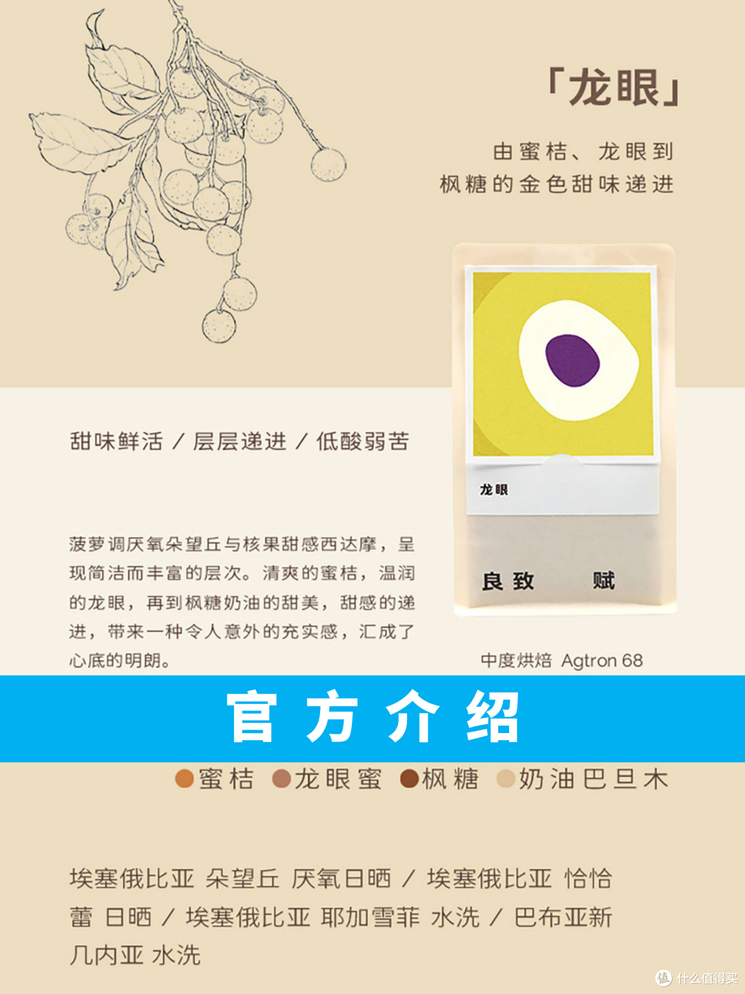 外行替你喝咖啡S26H02:良致咖啡 龙眼(经典)拼配