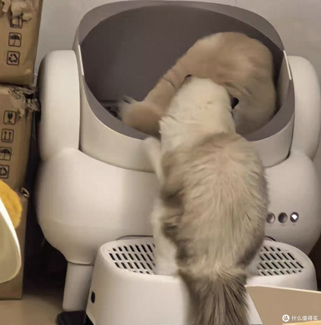 宜宝自动猫砂盆:一个“铲屎官”的科技解放初体验!