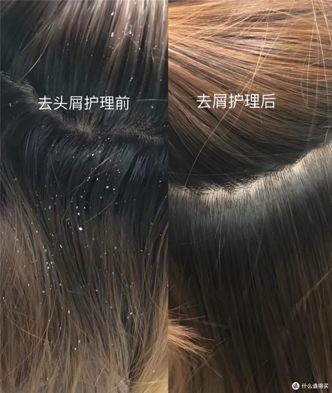 洗发水买什么牌子好?2025年十大热销品牌权威榜单,榜首良心推荐