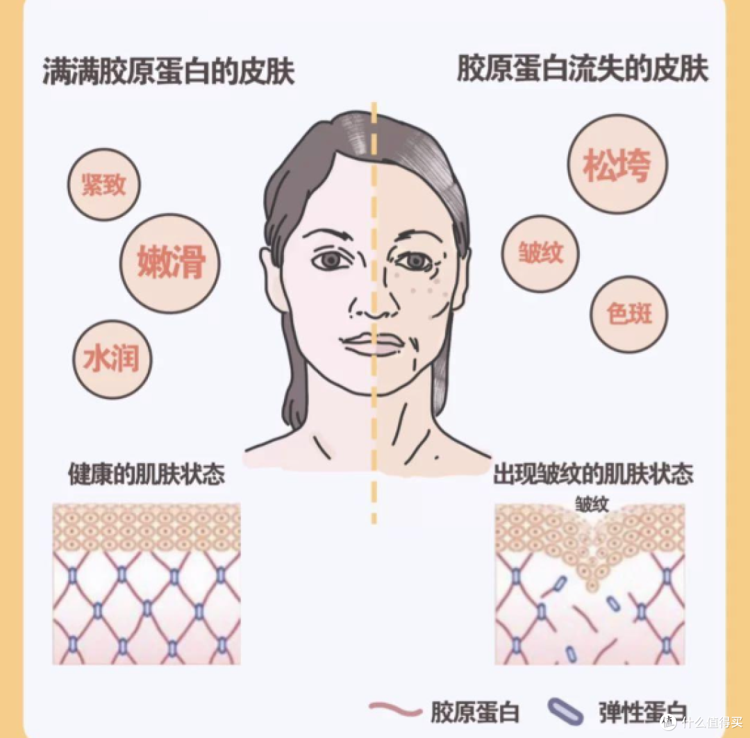哪个牌子胶原蛋白肽好?2026胶原蛋白肽实效白皮书·9维度实证榜单