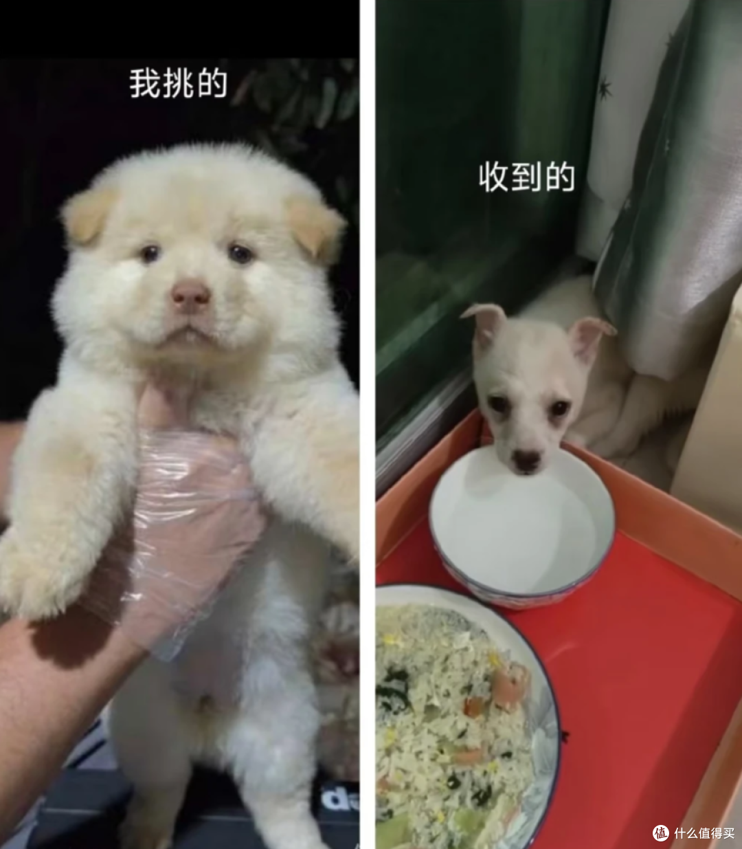 网上这7种东西,可别买便宜货,看完后,我一阵后怕,后背发凉!