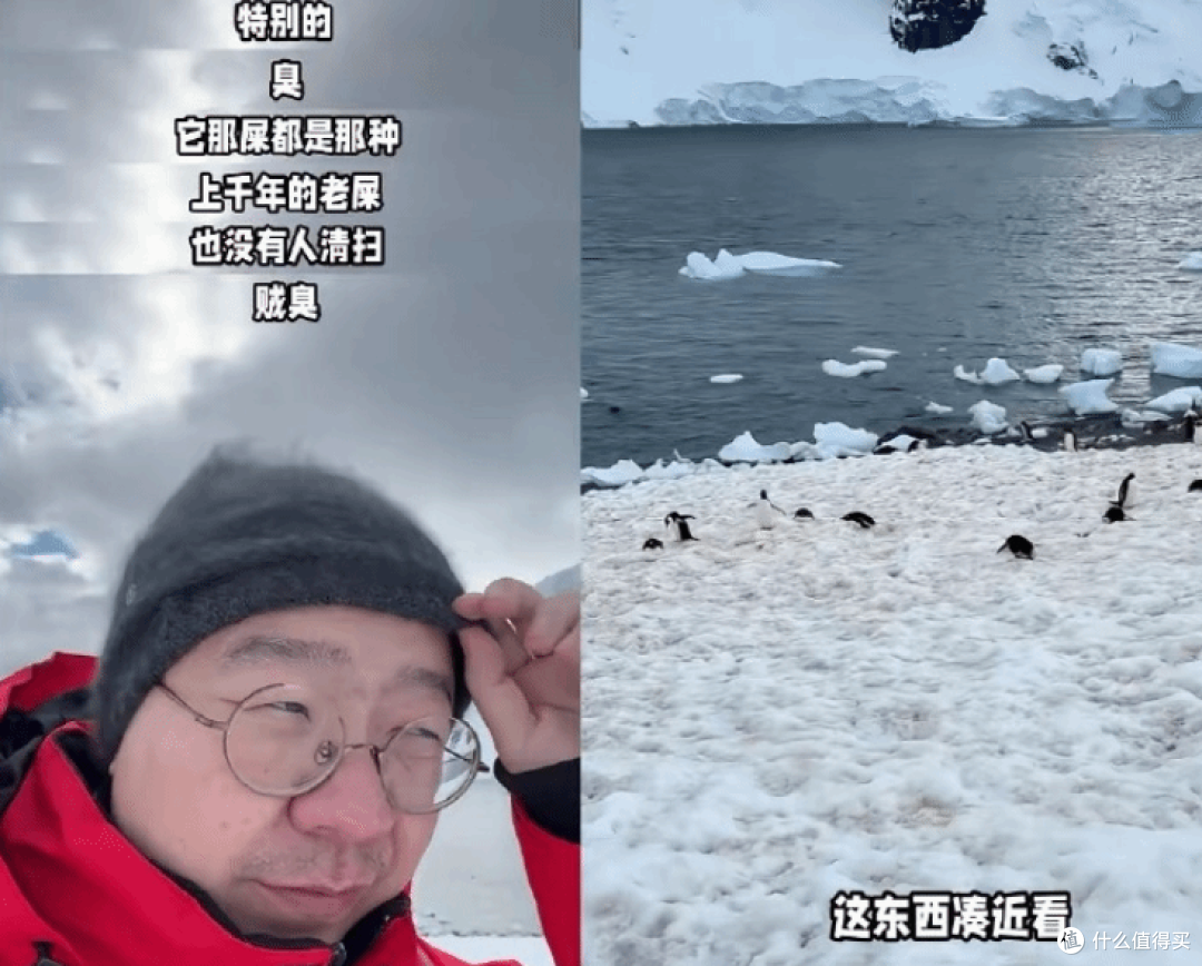 李诞吐槽南极旅行:20万船票闻企鹅屎,5000吨粪便臭到流泪