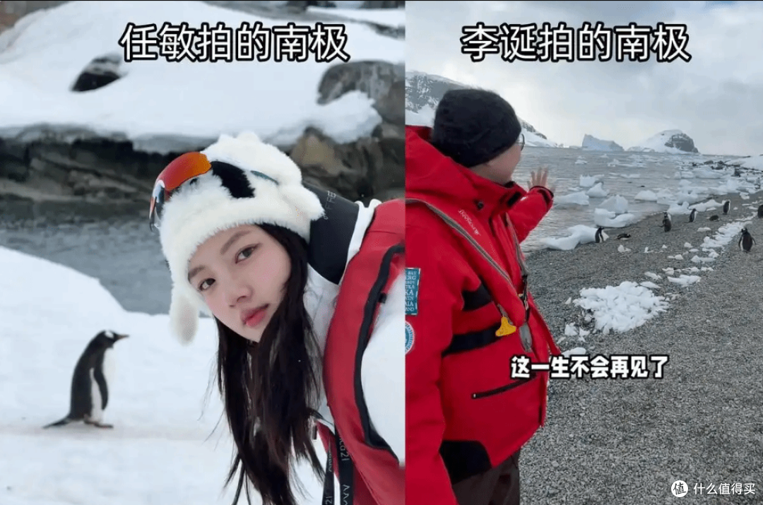 李诞吐槽南极旅行:20万船票闻企鹅屎,5000吨粪便臭到流泪