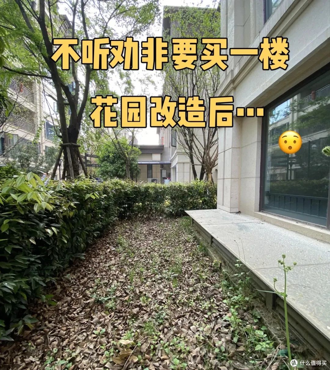 为什么越来越多人,逃离“带院子一楼”,这4个缺点是硬伤!