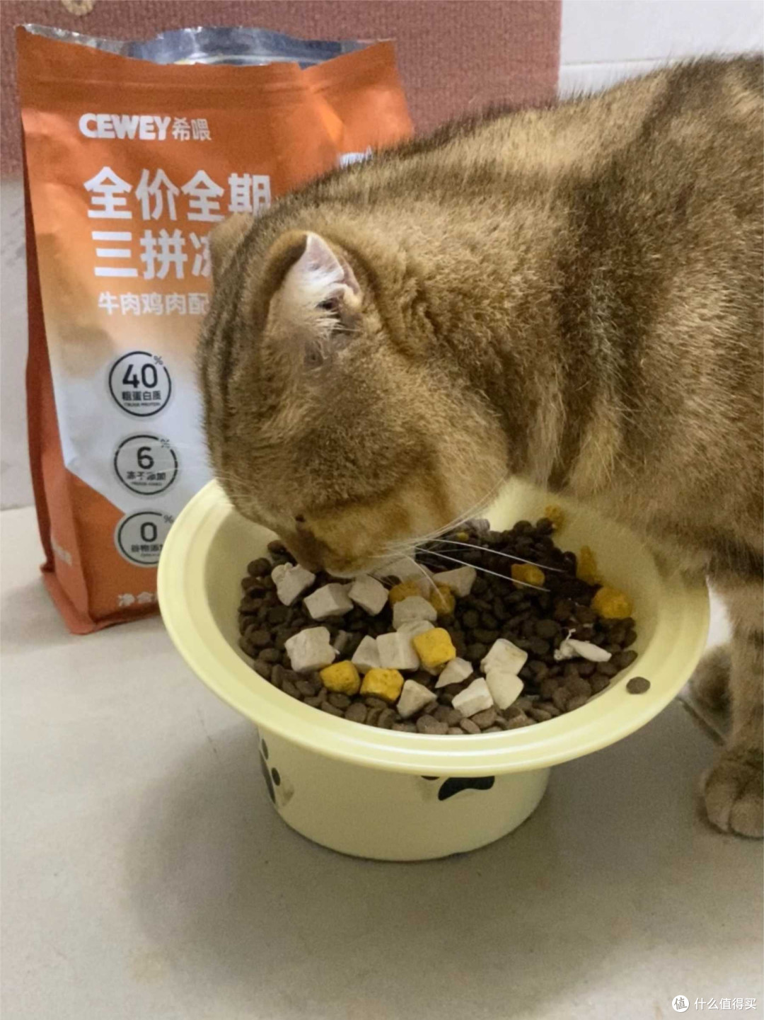选猫粮需谨慎，原料透明是关键！