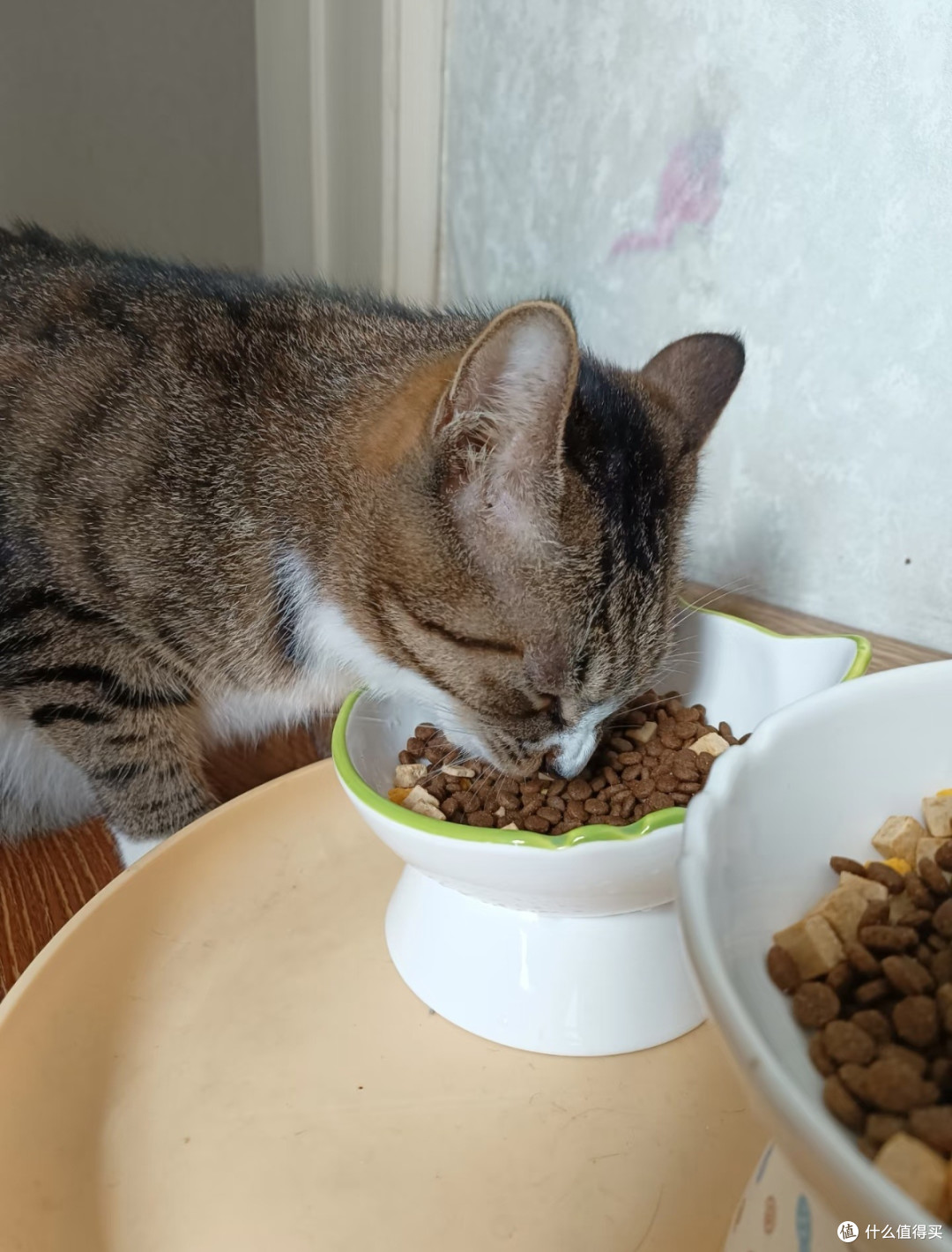 顽皮金标双鲜冻干猫粮实测,猫咪钟爱款,我家无限回购不换粮