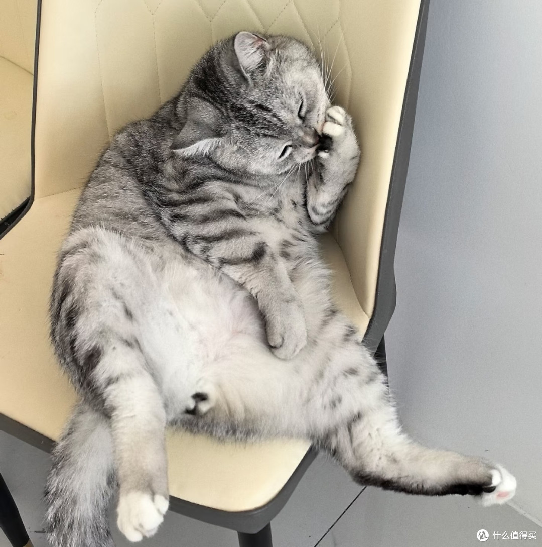 直到我家猫让我打开了平价猫粮新世界!