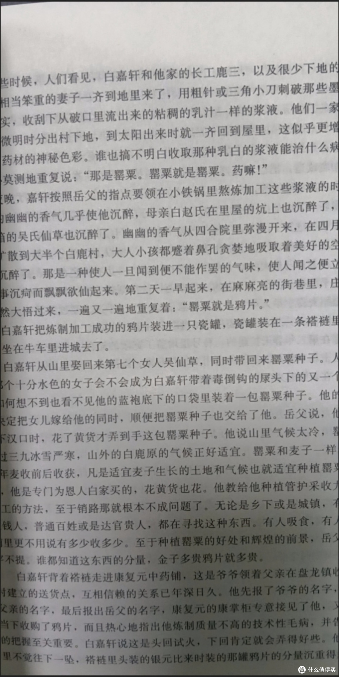 走进白鹿原：历史与人性的交织