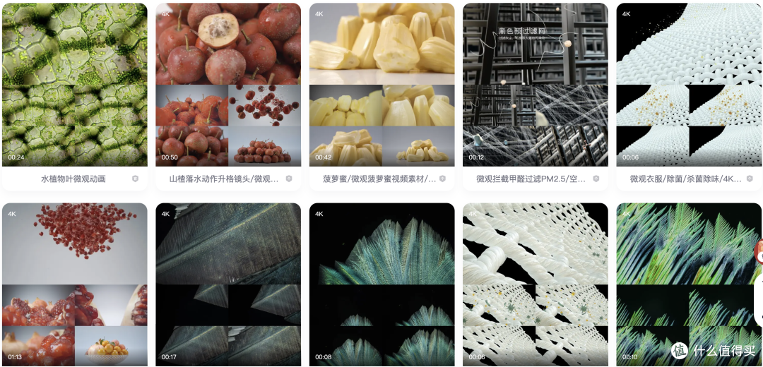 微观世界奇观!免费生物自然素材站