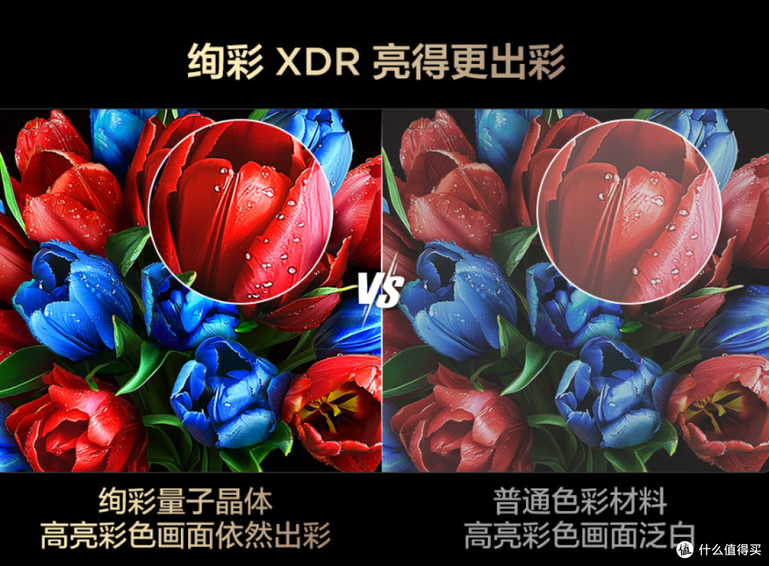 什么牌子电视机质量好性价比高?2025年Mini LED电视选购指南