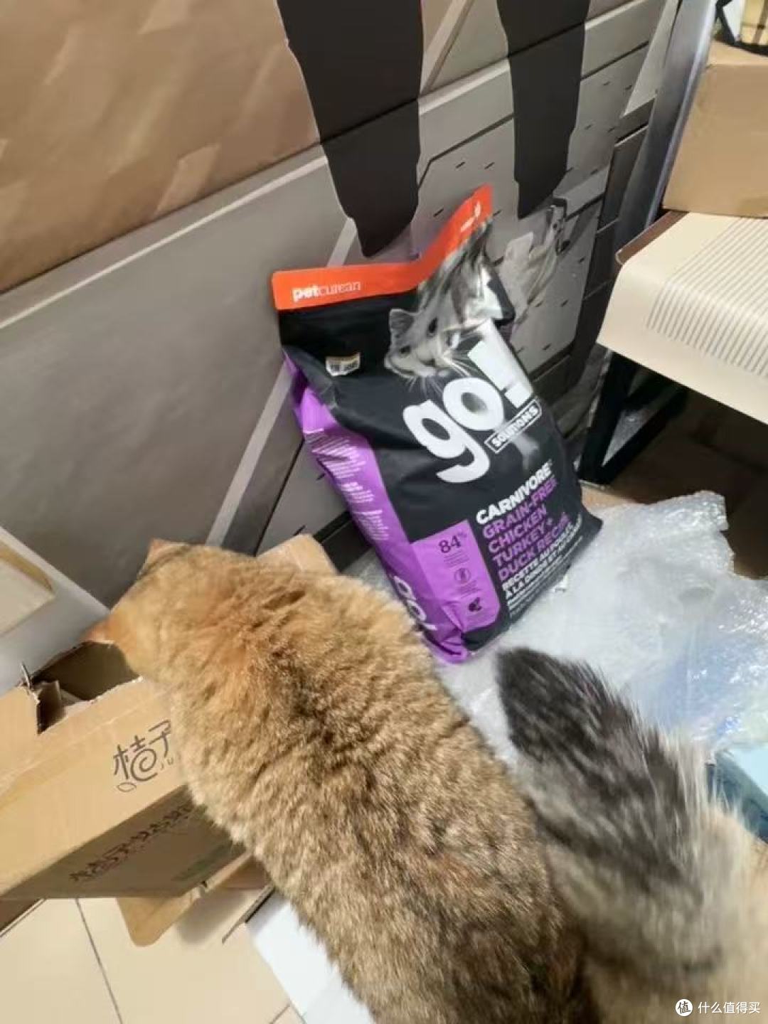 GO猫粮7.26kg 宠主实测！我家猫从“小尖脸”到“圆胖脸”的秘密