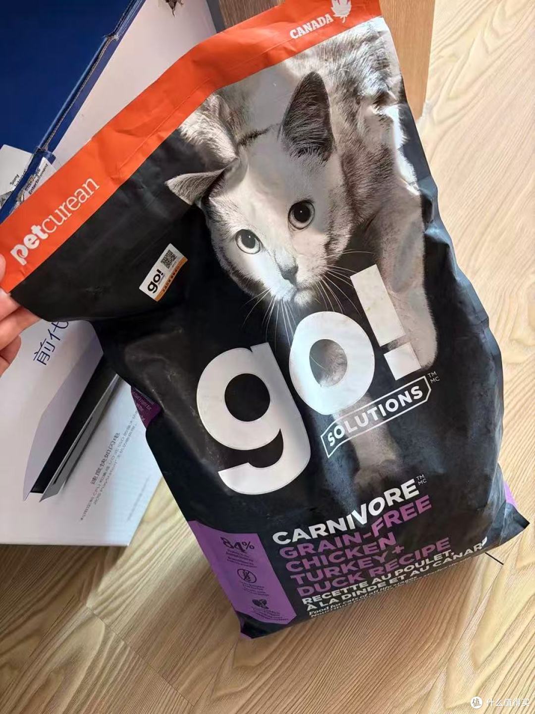 GO猫粮!我家猫从“小尖脸”到“圆胖脸”的秘密