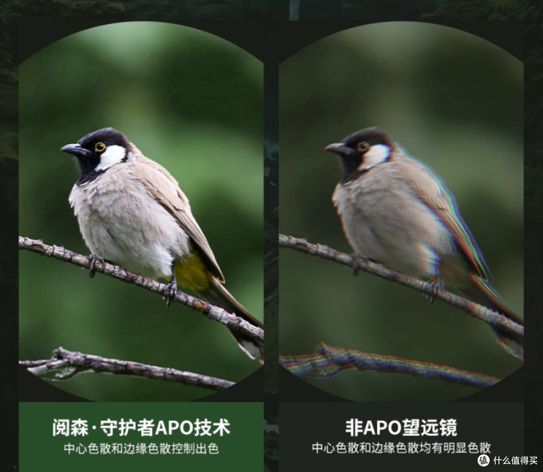 轻便小巧与旗舰光学的完美平衡——阅森守护者，比想象中能打！