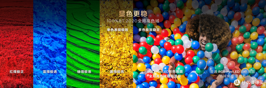 TCL Q10M系列发布:重新洗牌高端电视市场,好画质不只高色域
