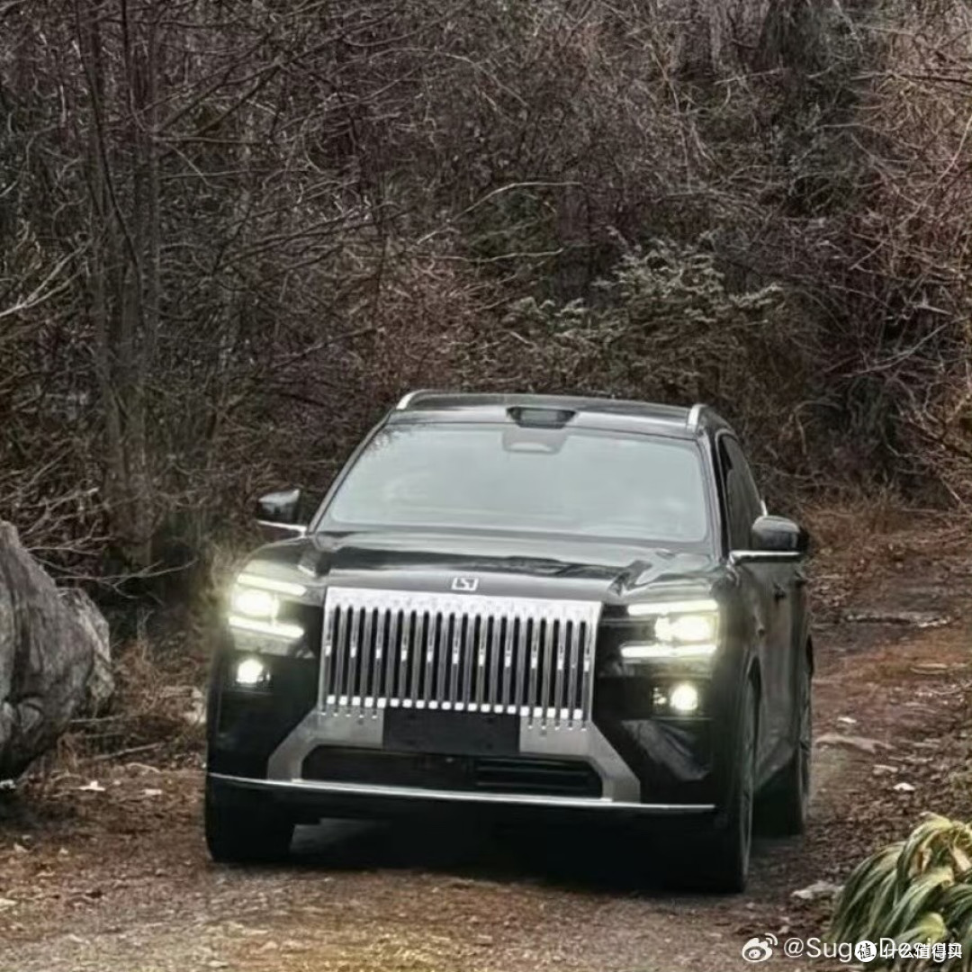 极氪8X伪装官图发布：40万级高性能SUV_SUV_什么值得买