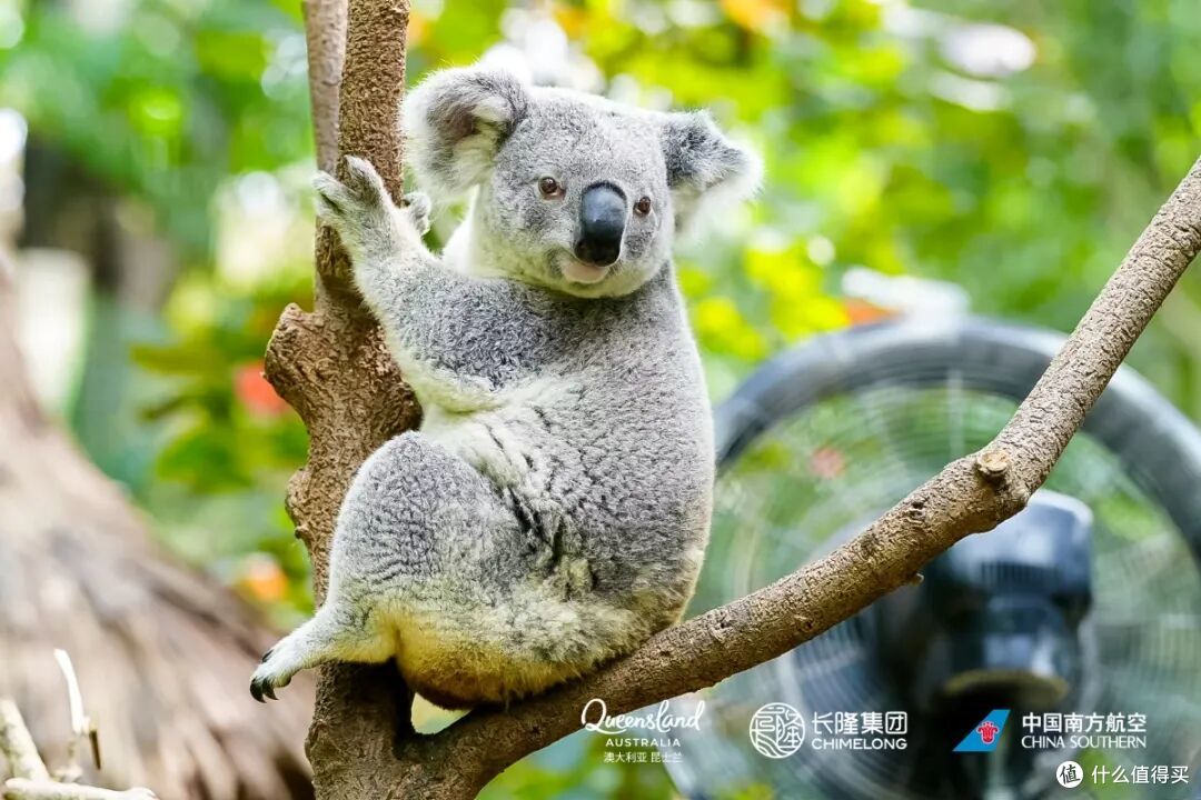 山海依旧,澳大利亚昆士兰凭什么让你再去一次?