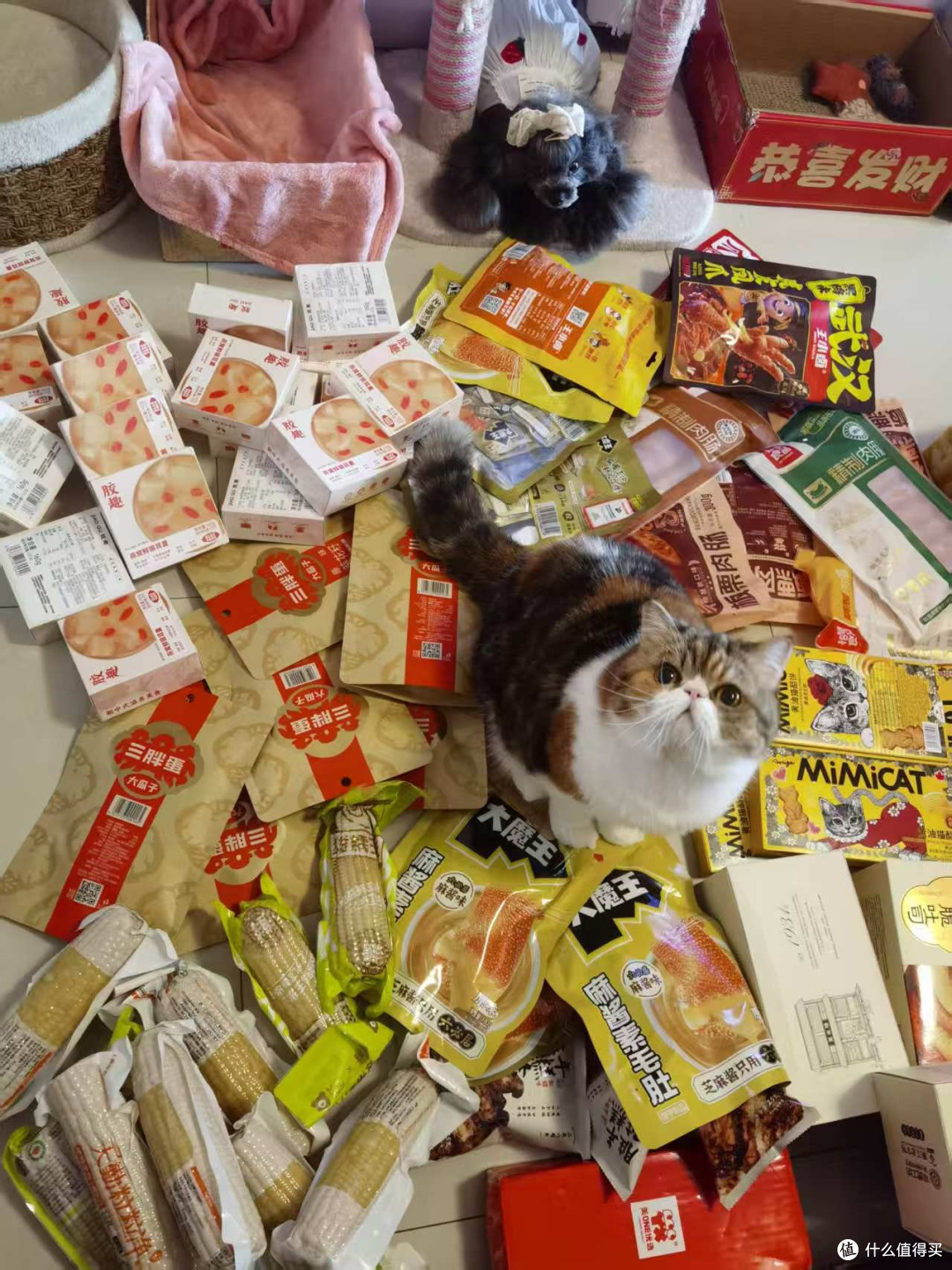 黄油猫酪饼尝鲜