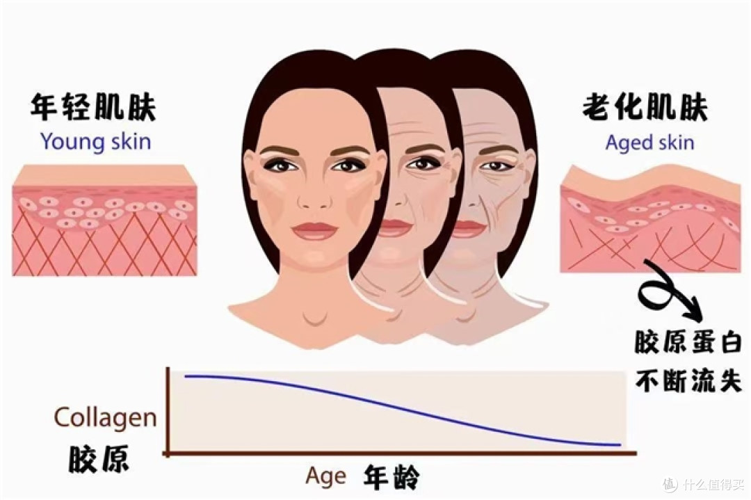 2025年度十大胶原蛋白肽品牌：胶原蛋白肽哪家效果好？