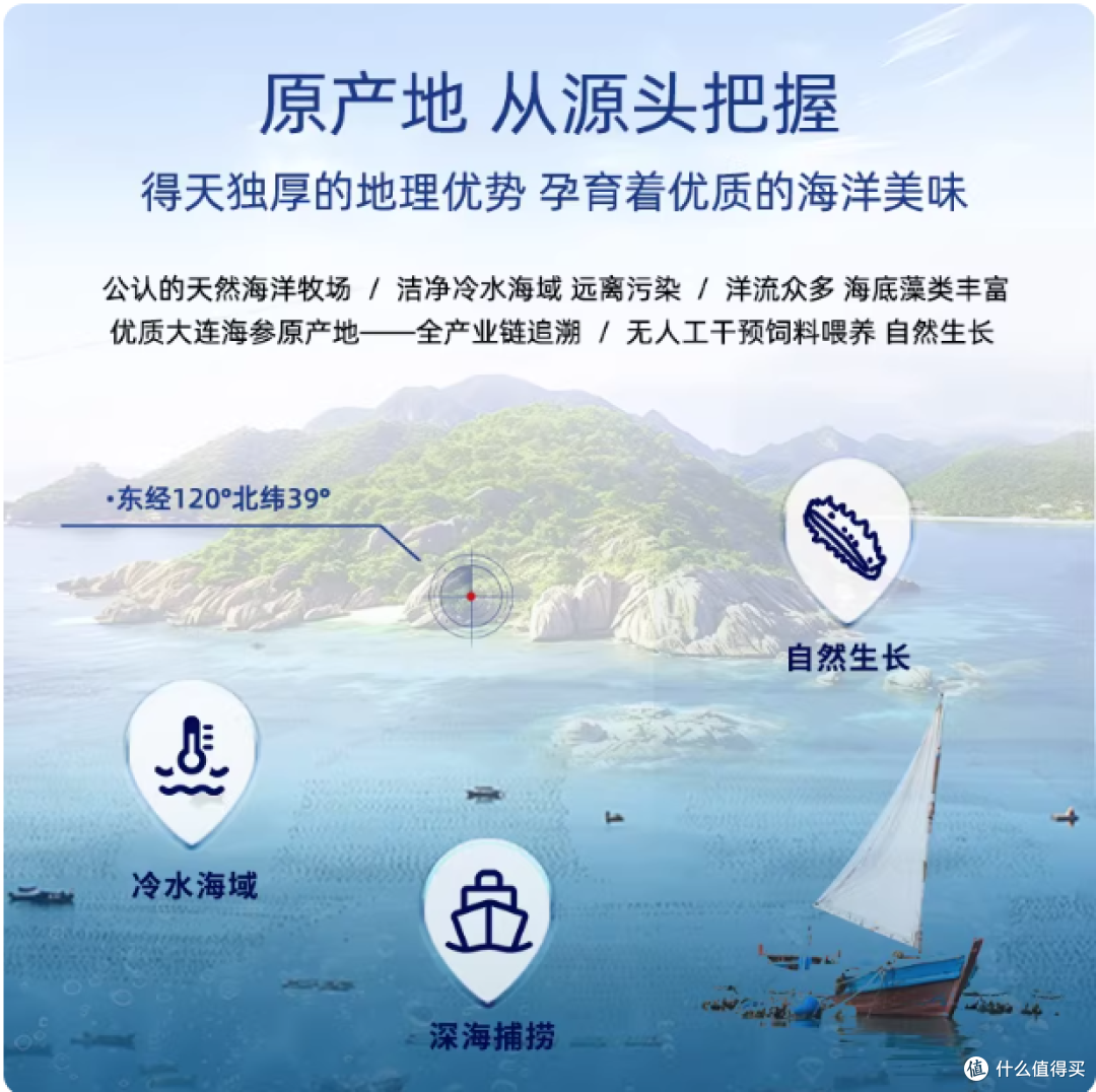 大连晓芹即食海参大参王礼盒深度测评!送礼自用都封神✨