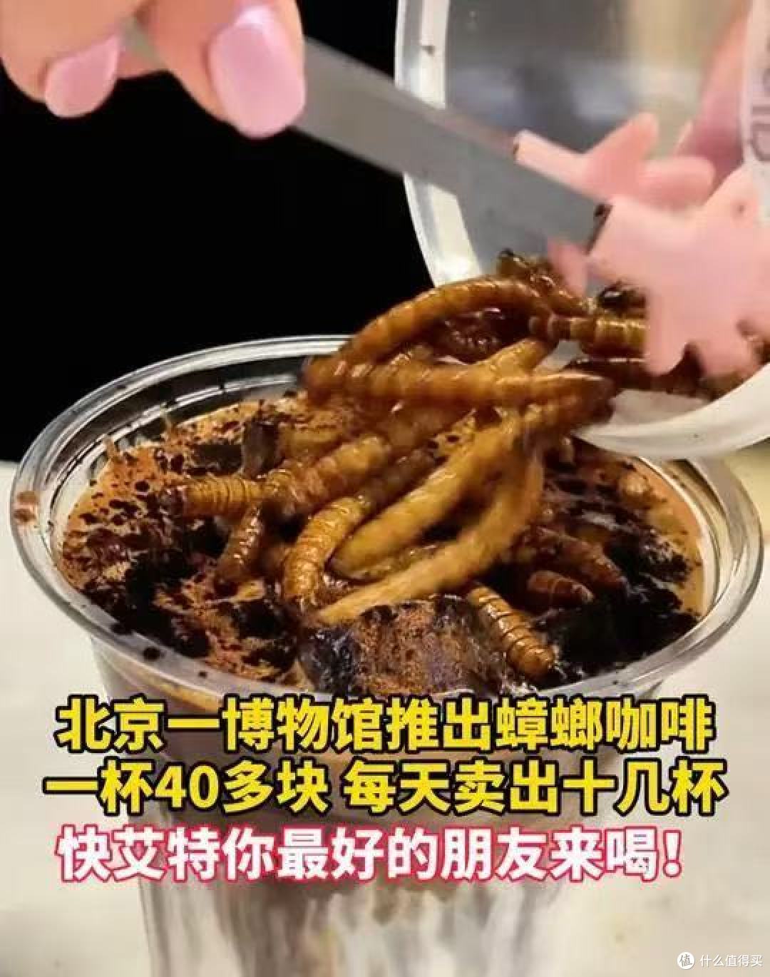 40元一杯蟑螂咖啡谁敢喝！这些昆虫竟从异宠圈跨界餐桌？