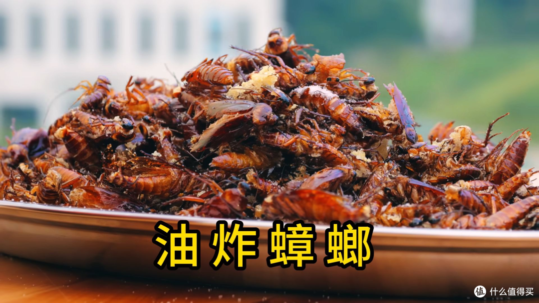 40元一杯蟑螂咖啡谁敢喝！这些昆虫竟从异宠圈跨界餐桌？