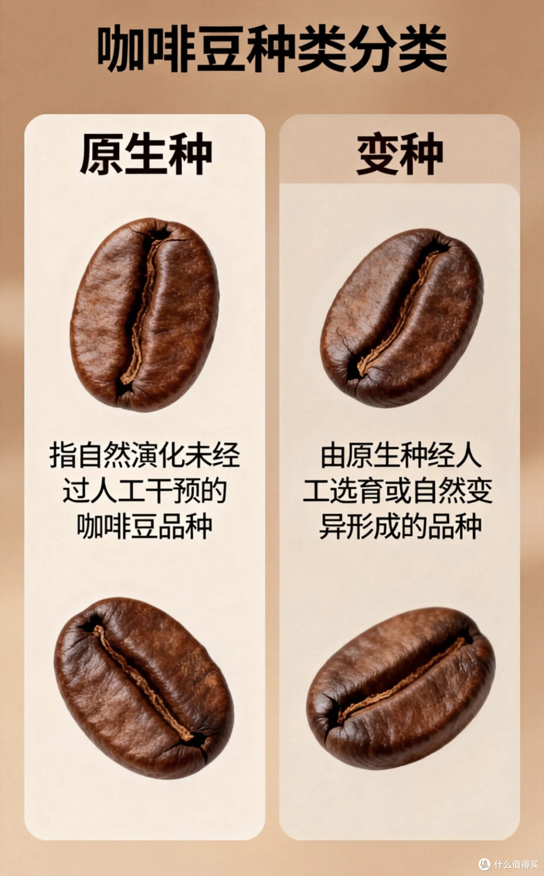 探索咖啡豆：醇香独特风味_咖啡_什么值得买