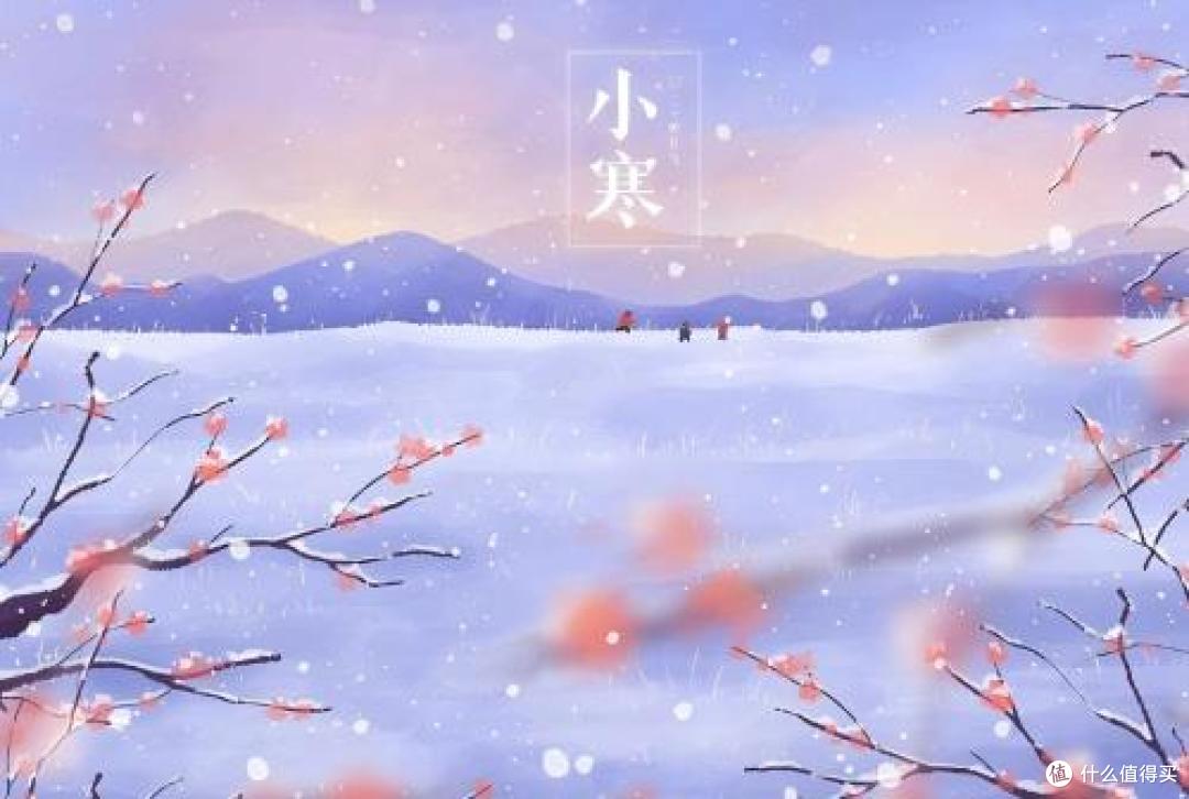 小寒养藏:顺时调摄,筑牢健康根基