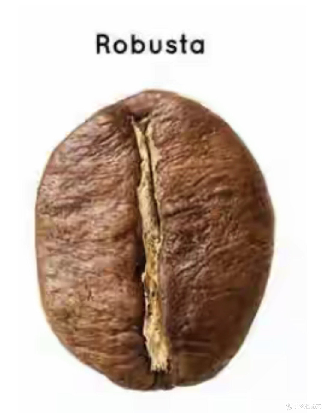 探索咖啡豆:醇香独特风味